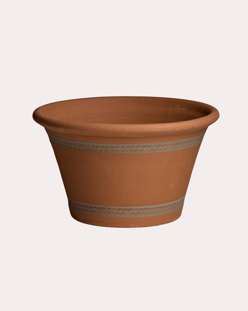 RHS Halfpot