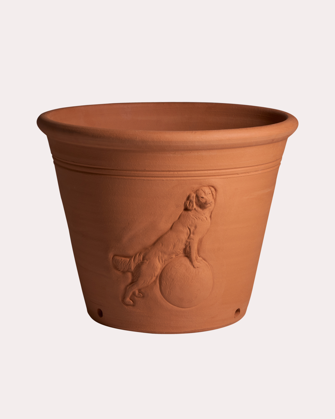 Medium Monty Don Dog Pot