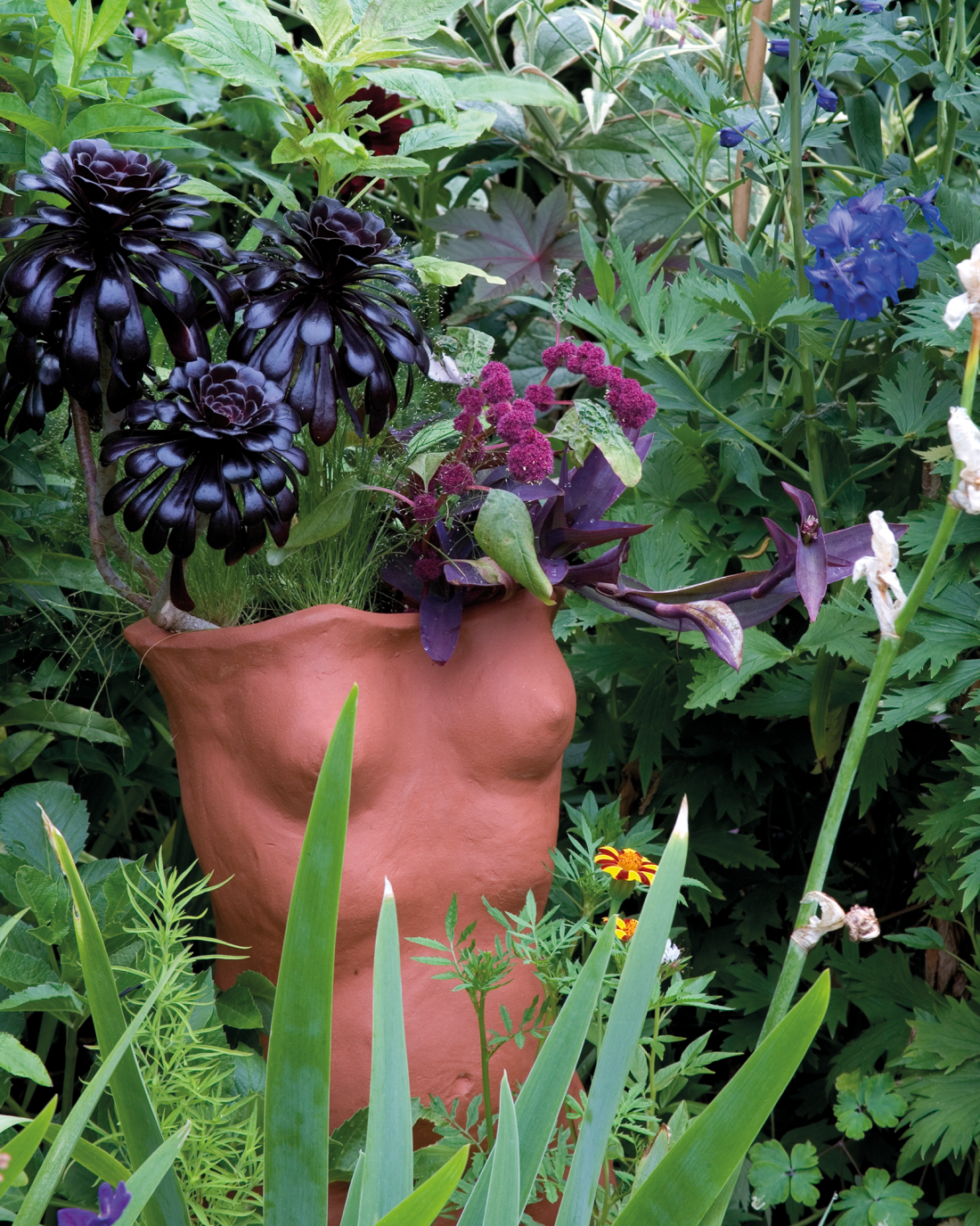 Planted Maiden